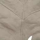 Blad 47x23x152 thumbnail