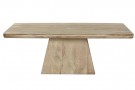 COFFEE TABLE MANGO 120X60X45 thumbnail