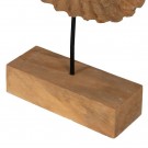 2stk, SCULPTURE SEASHELL NATURAL WAY 50 X 9 X 54 CM thumbnail