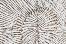 BED HEADER MDF 180X3,5X100 DECAPE thumbnail