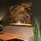 Forest Path 180x120x2cm Dibonds thumbnail