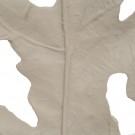Blad 72x31x185 thumbnail