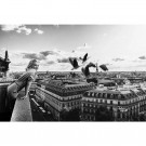 Marilyn Monroe Paris View B&W Dibonds 120x180x2cm thumbnail