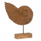 2stk, SCULPTURE SEASHELL NATURAL WAY 50 X 9 X 54 CM thumbnail