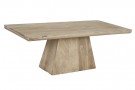 COFFEE TABLE MANGO 120X60X45 thumbnail