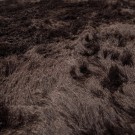 PRALINE RUG COFFEE Ø200CM thumbnail