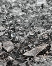 Spisebord, HDGaya, Brun thumbnail