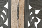 VALDEMA  MANGO 150X3X180 CARVED DECAPE thumbnail